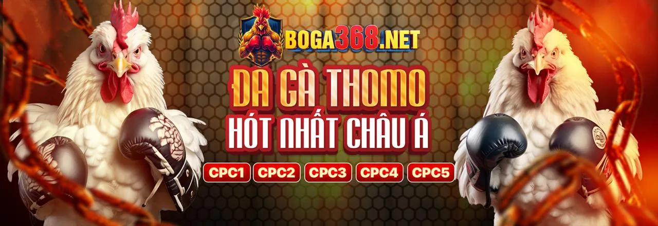 Banner khuyến mãi thể thao aa888 app
